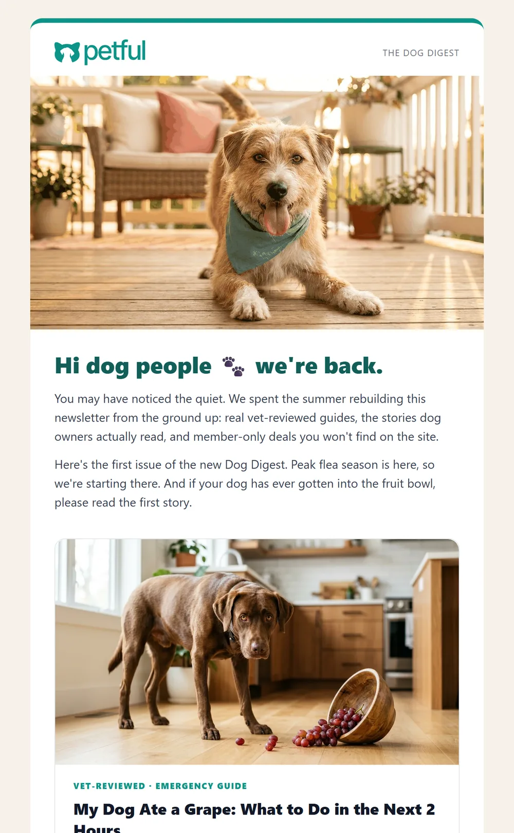 The Petful Dog Digest newsletter